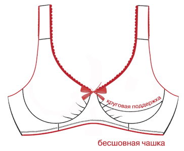структура бюстгальтера