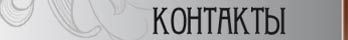 контакты